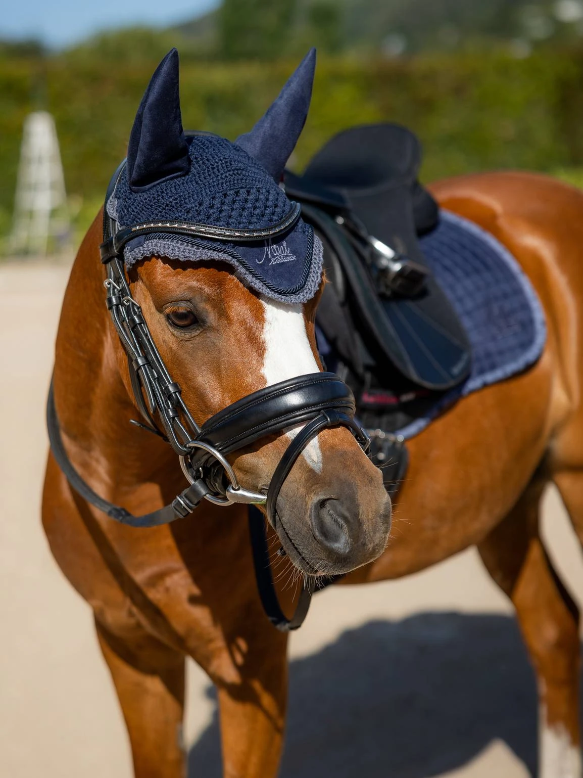 LeMieux Mini Fly Hood - Image 7