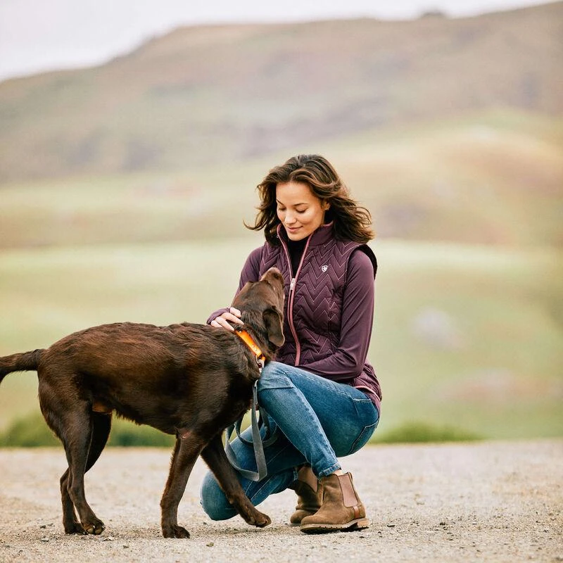 Ariat Premium High Rise Skinny Jean For Ladies - Image 7