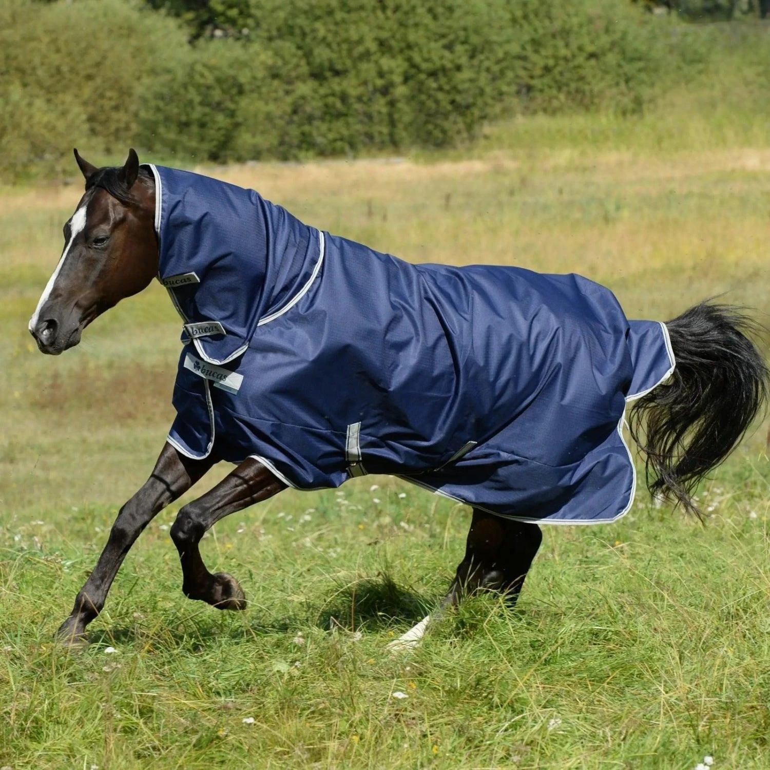 Bucas Freedom Turnout 150 Gr - Image 5