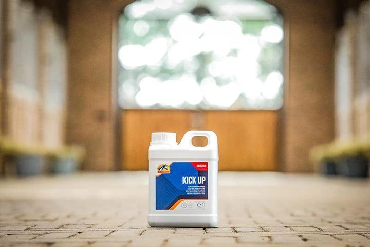 Cavalor Kick Up - Image 3