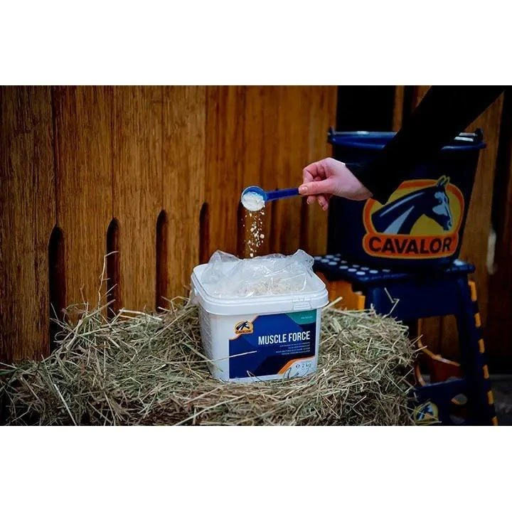 Cavalor Muscle Force - Image 2