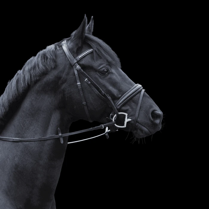 Herm. Sprenger Dynamic RS WH Ultra Eggbut Bit With D-shaped Rings 16 Mm Double Jointed Sensogan 40428 - Image 2