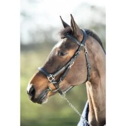 Hfi Combo Bridle / Halter