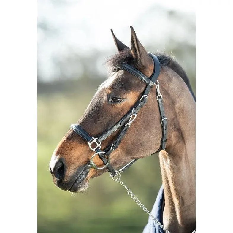Hfi Combo Bridle / Halter