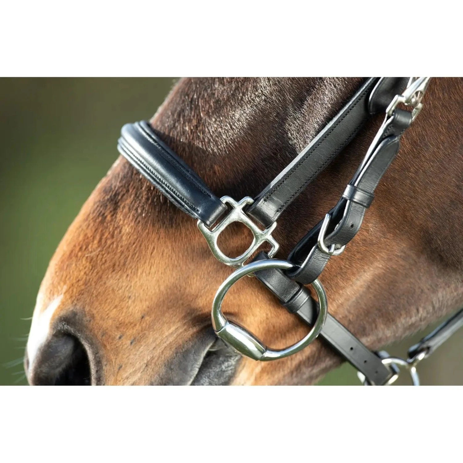 Hfi Combo Bridle / Halter - Image 2