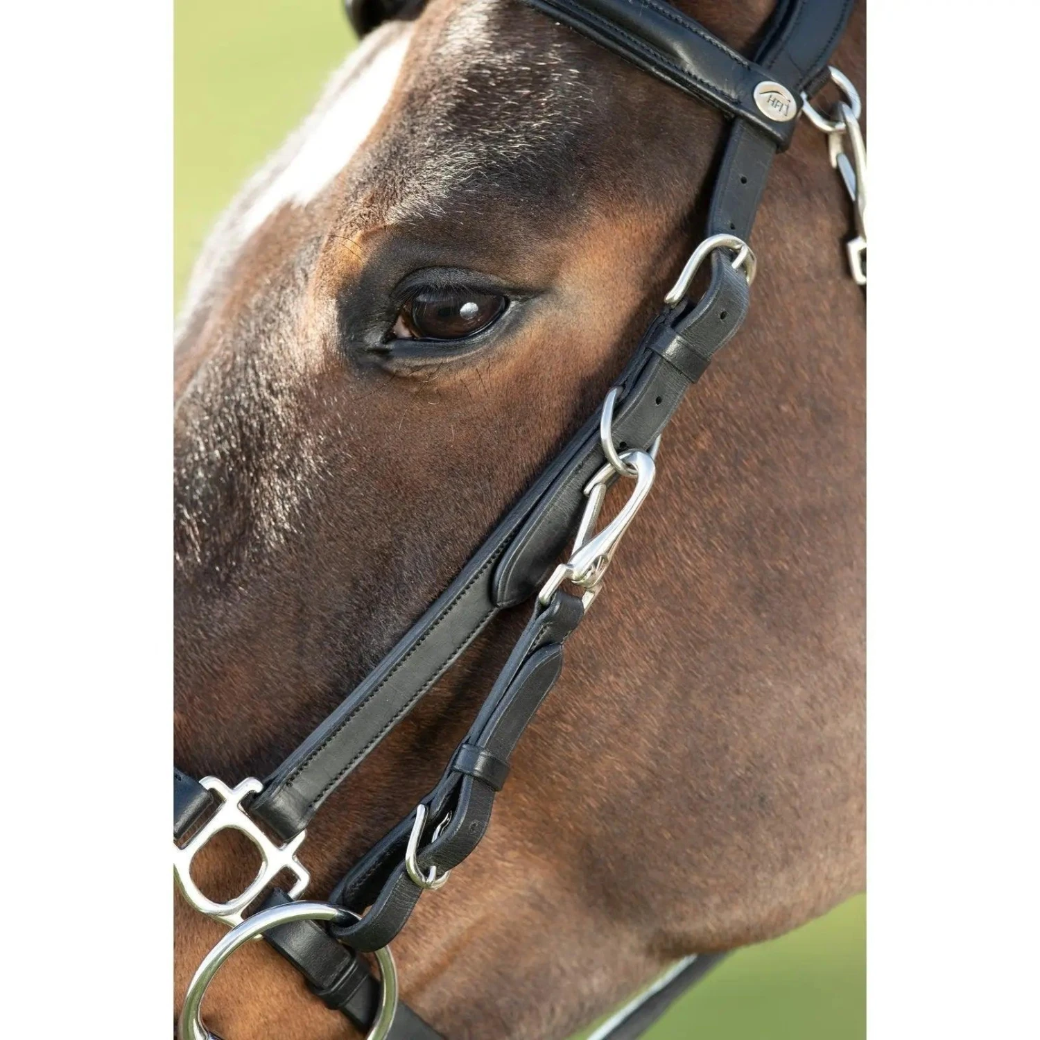 Hfi Combo Bridle / Halter - Image 3