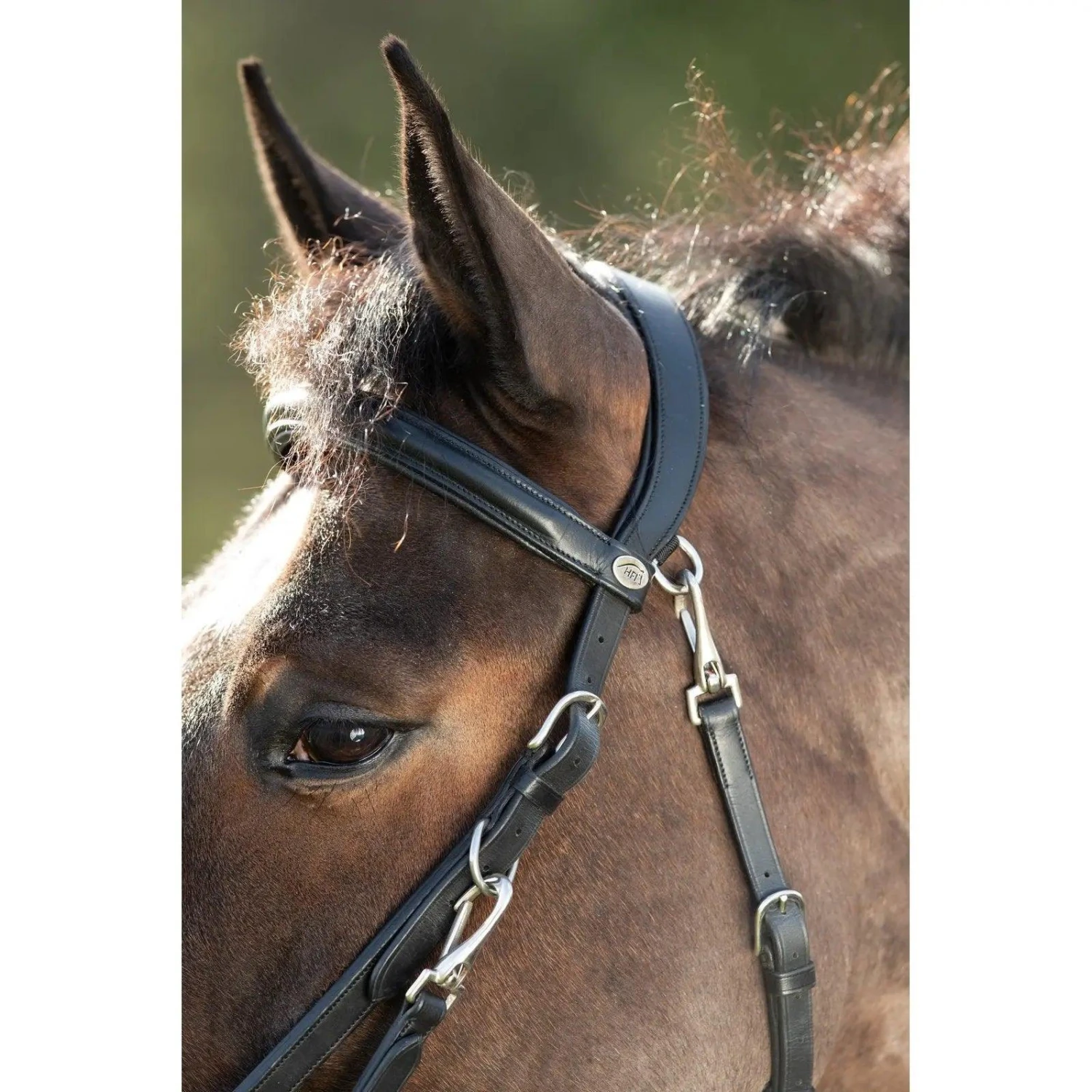 Hfi Combo Bridle / Halter - Image 4