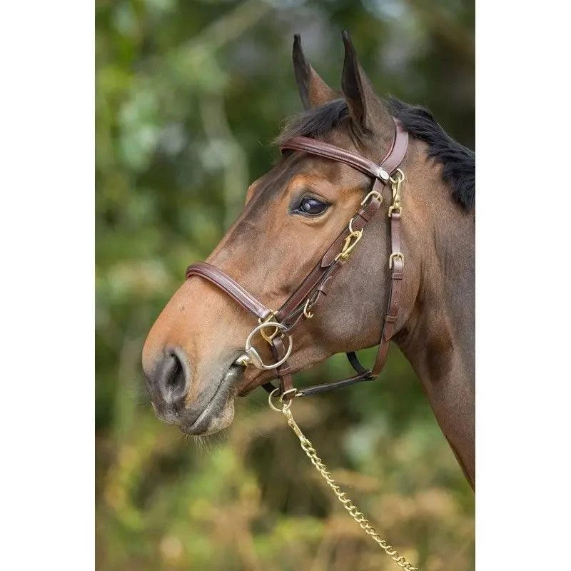 Hfi Combo Bridle / Halter - Image 5