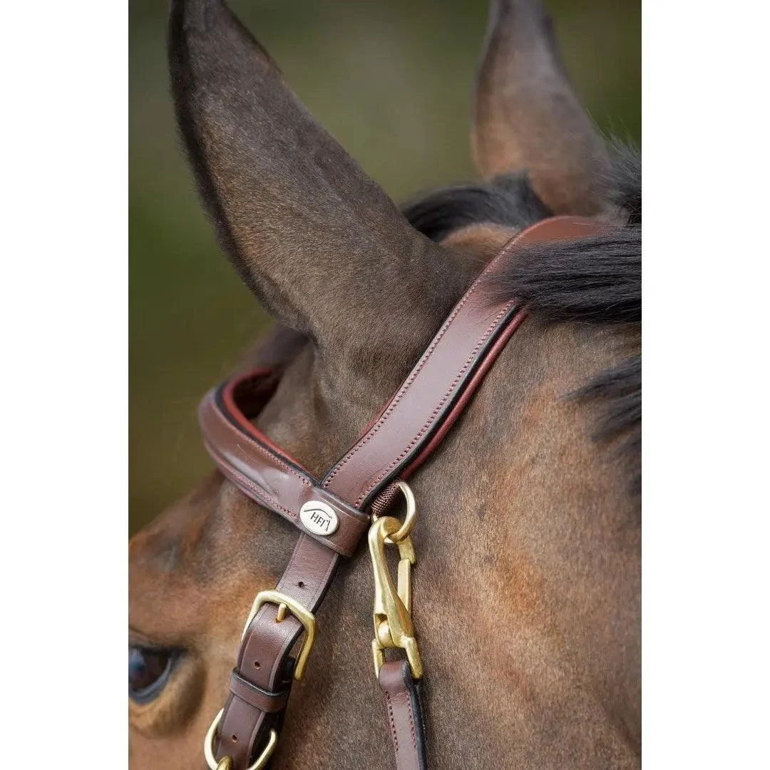 Hfi Combo Bridle / Halter - Image 6