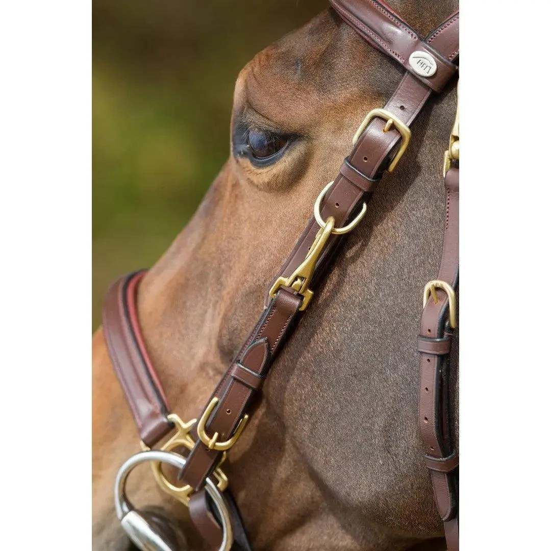 Hfi Combo Bridle / Halter - Image 7