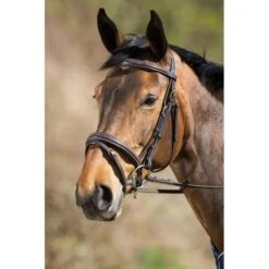 HFI Elegant Bridle
