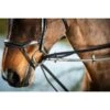 HFI German Leather Reins