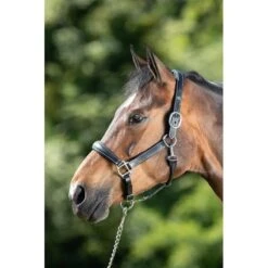 HFI Grooming Halter