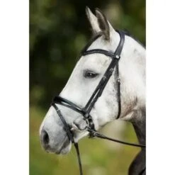 HFI Luxe Bridle