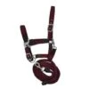 HFI Neoprene Smart Halter And Nylon Rope