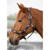 HFI Polo Halter