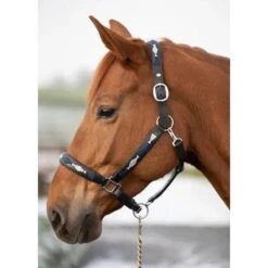 HFI Polo Halter