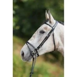 HFI Regular Bridle