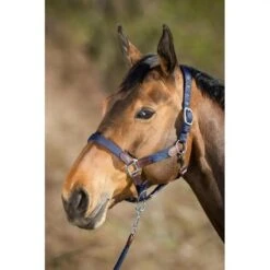 HFI Smart Halter
