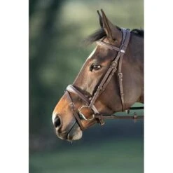 HFI Technical Bridle