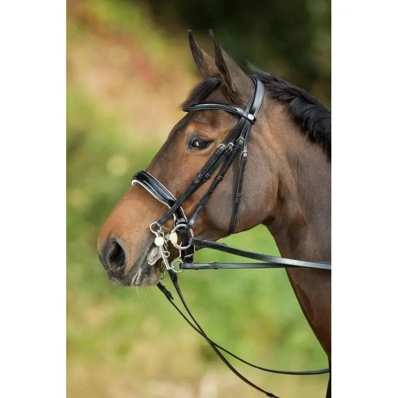 HFI Weymouth Bridle