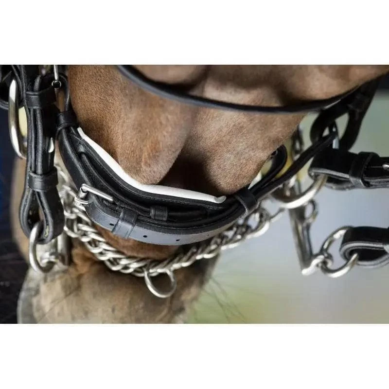HFI Weymouth Bridle - Image 4