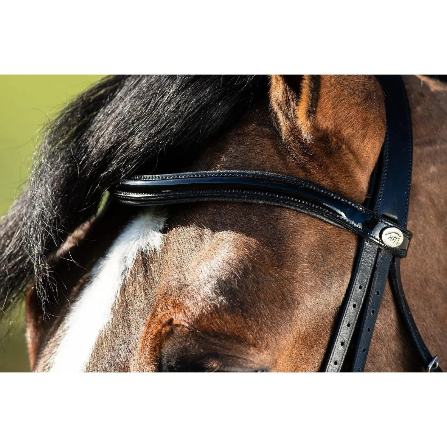 HFI Weymouth Bridle - Image 5
