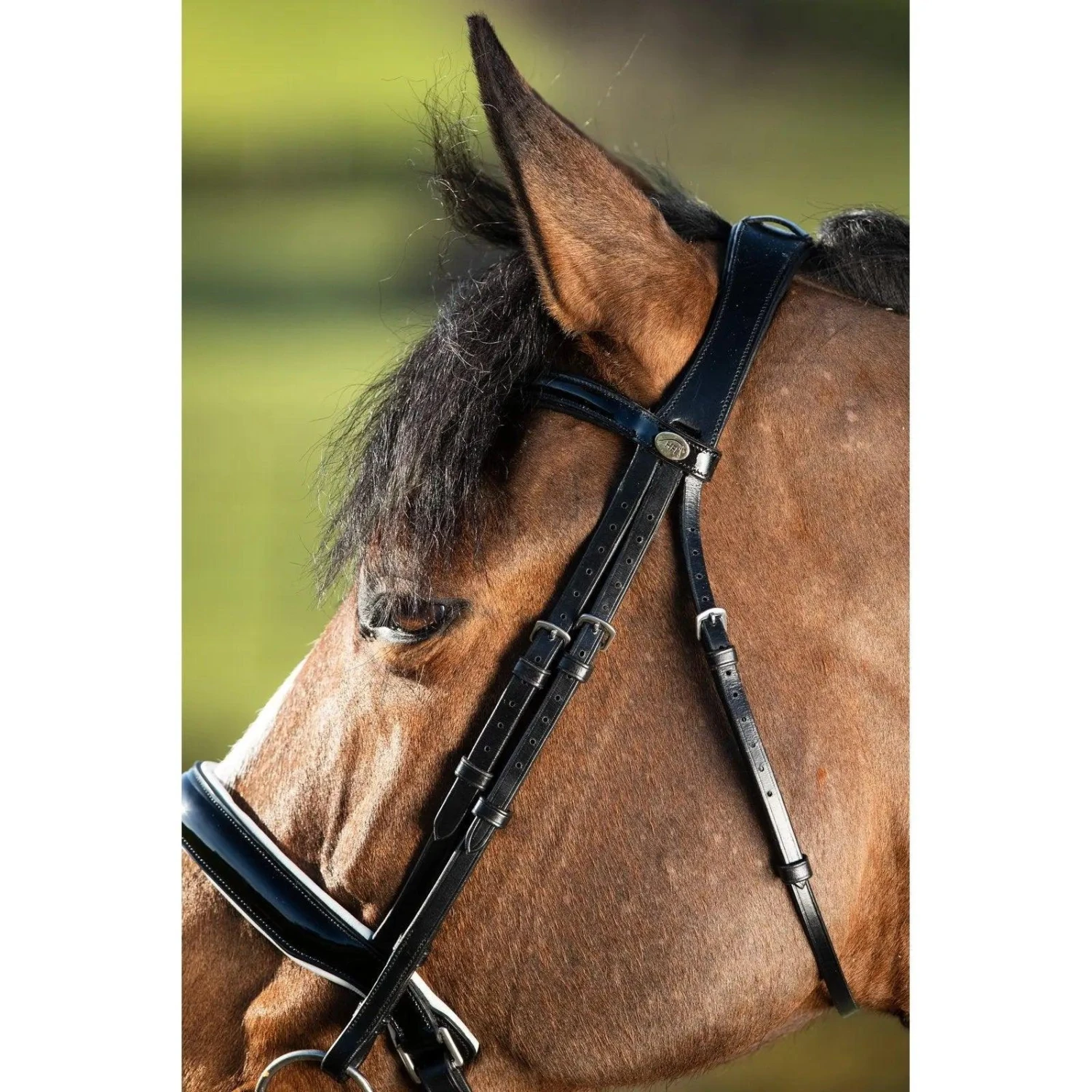 HFI Weymouth Bridle - Image 6