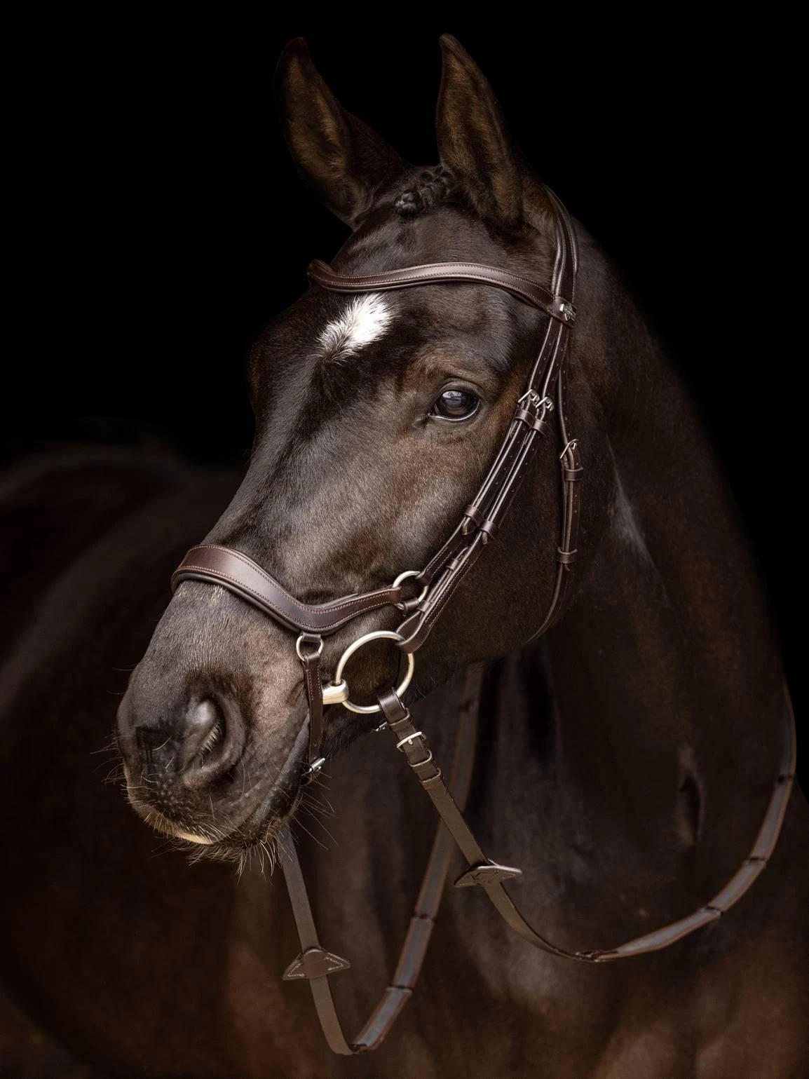 LeMieux Arika Drop Bridle - Image 3