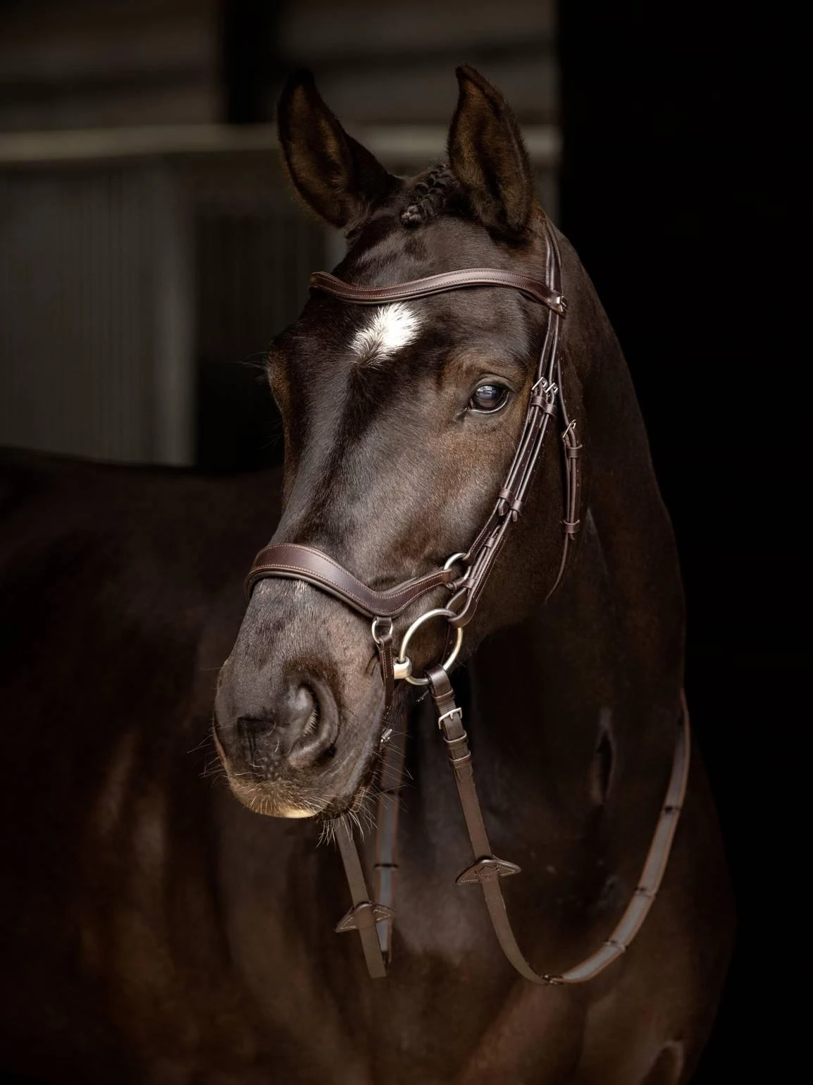 LeMieux Arika Drop Bridle - Image 6