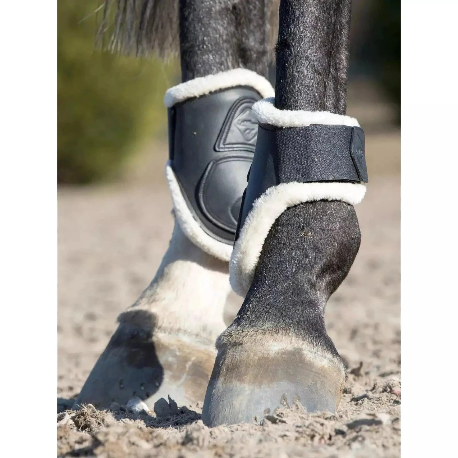 LeMieux Capella Comfort Fetlock Boots - Image 8