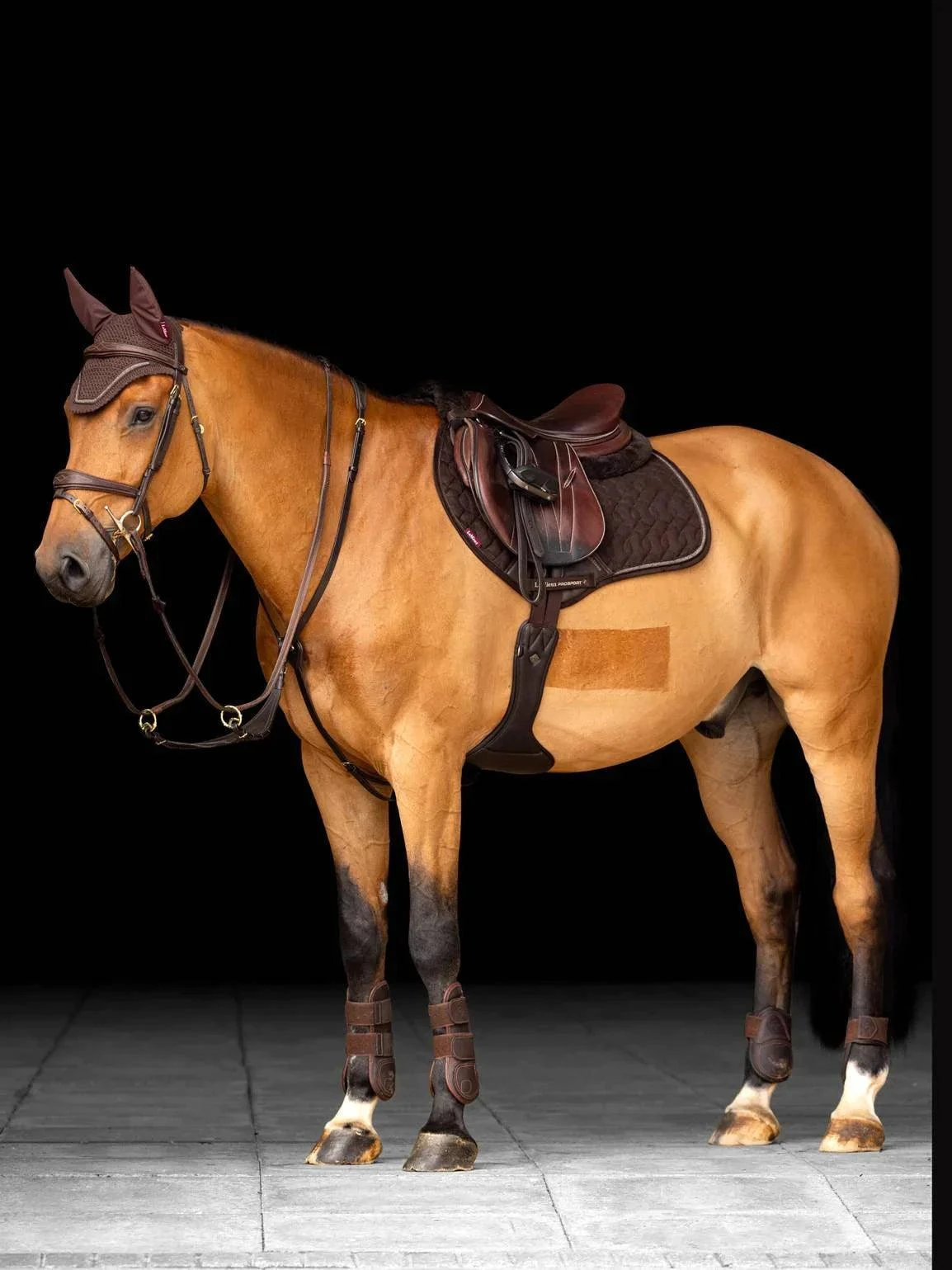 LeMieux Crystal Suede Close Contact Square - Image 10