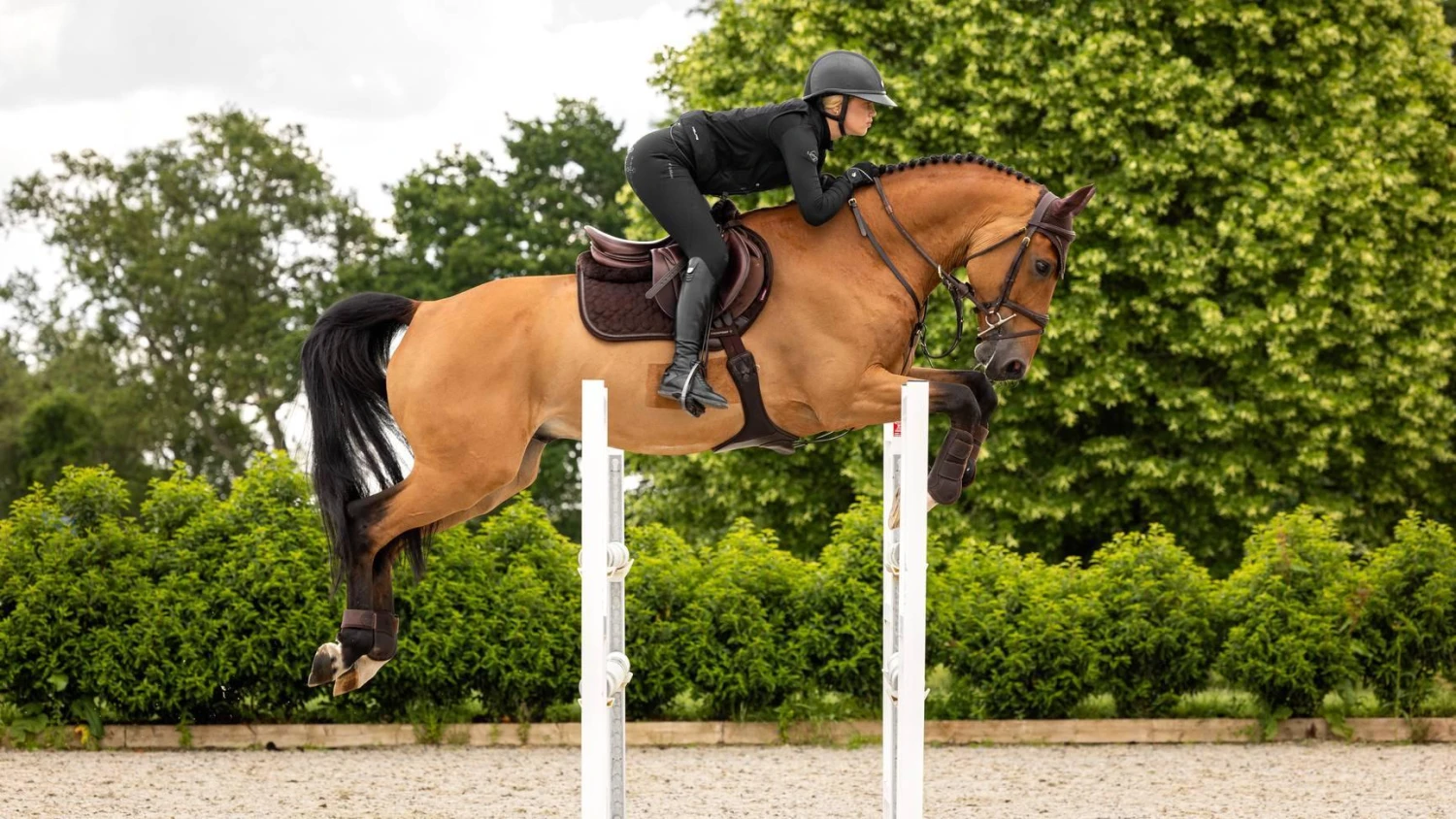 LeMieux Crystal Suede Close Contact Square - Image 12