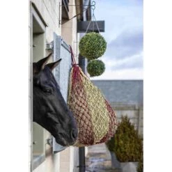 LeMIeux Hippo Haynet