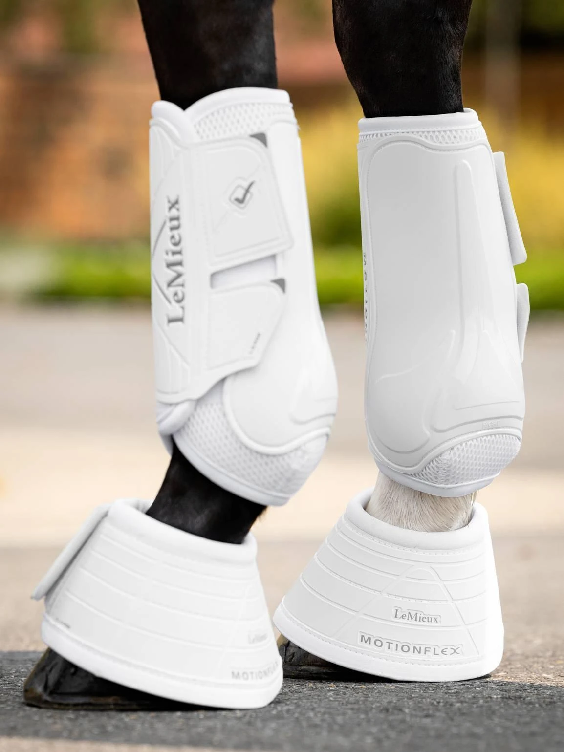 LeMieux Motionflex Dressage Boots - Image 17
