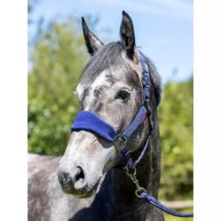 LeMieux Vogue Headcollar And Leadrope