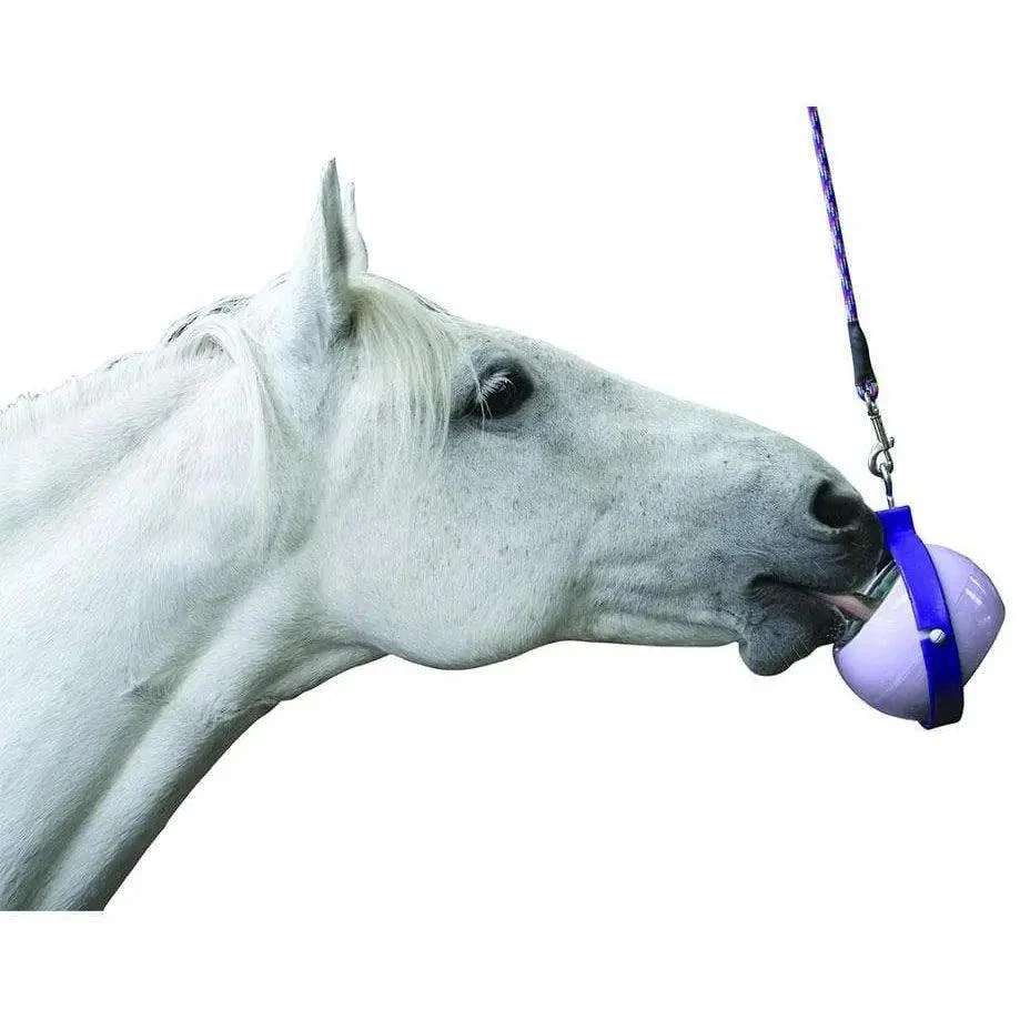 Likit Boredom Buster - Image 4