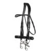 Montar Double Normandie Bridle