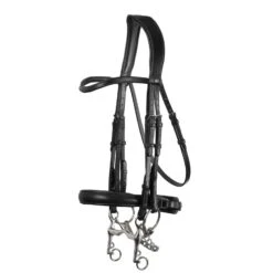 Montar Double Normandie Bridle
