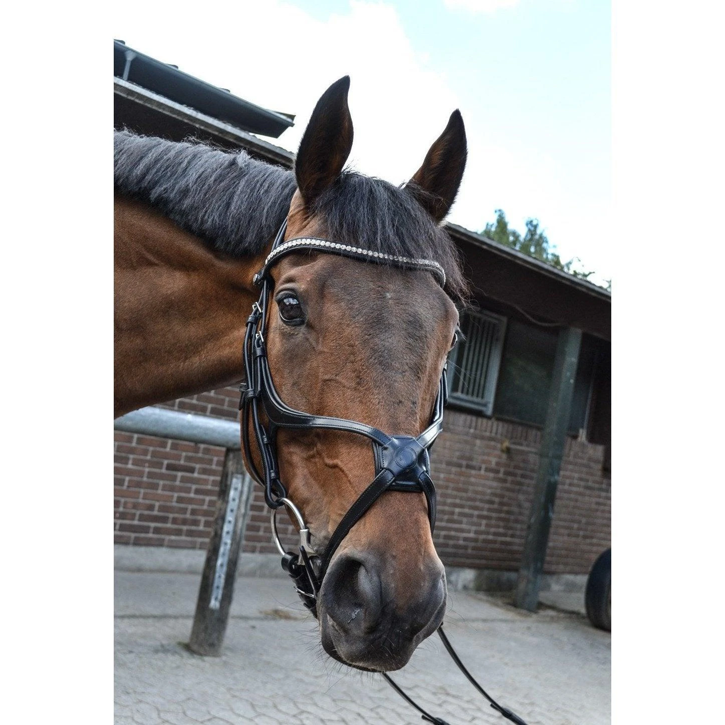 Montar Fair 8 - Figure Noseband
