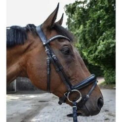 Montar Fair Bridle
