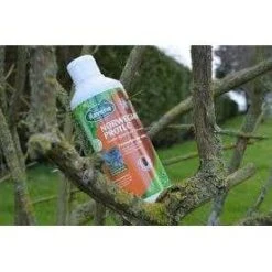 Ravene Norwegian Protec