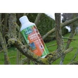 Ravene Norwegian Protec