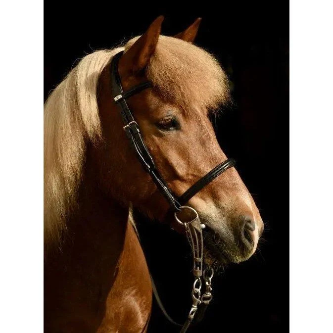 Stübben Island 2300 Bridle