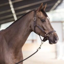 Stübben Stable Halter NT