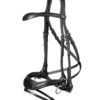 Trust Falsterbo T-motion Bridle