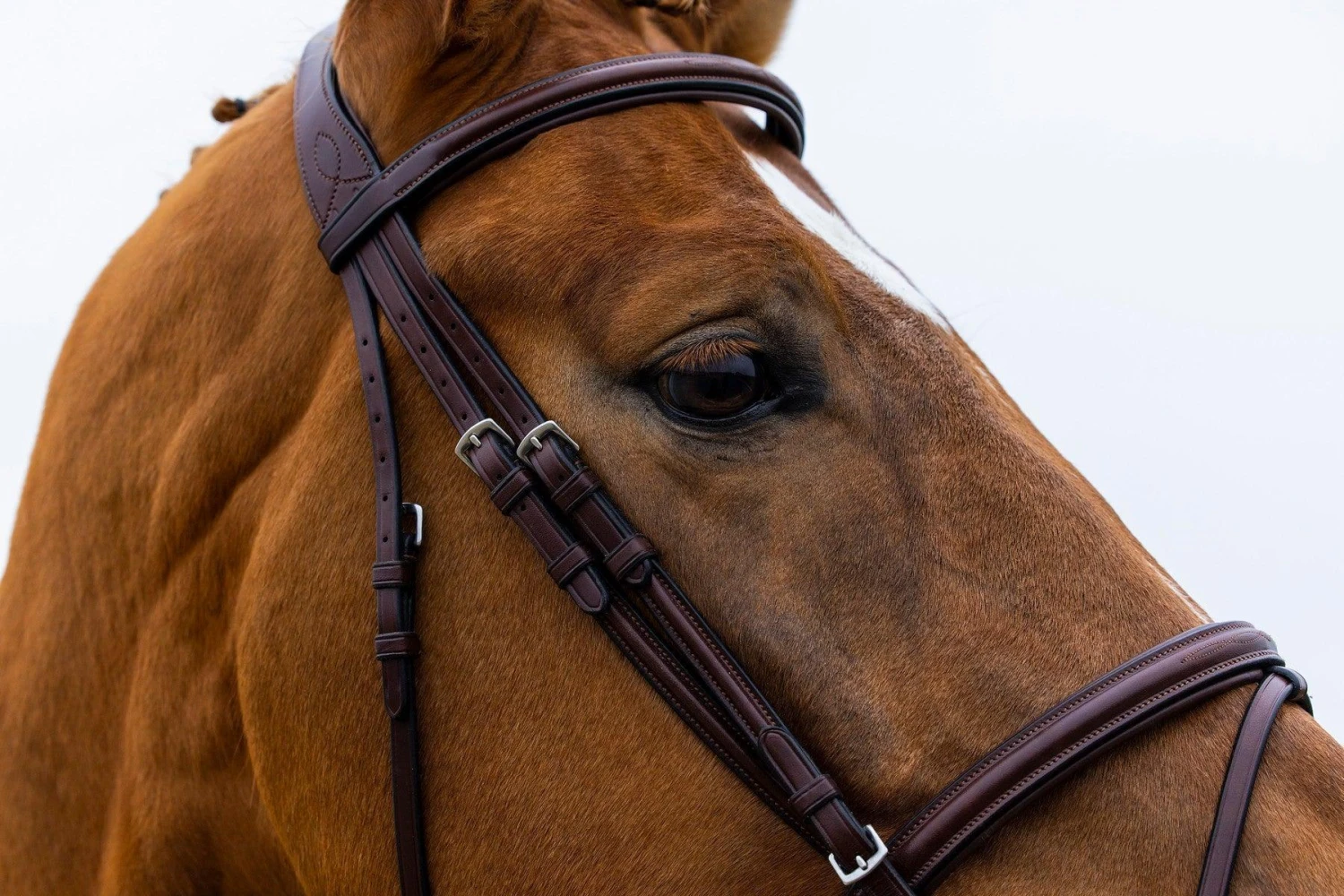 Trust Knokke Combined Noseband Bridle - Image 6