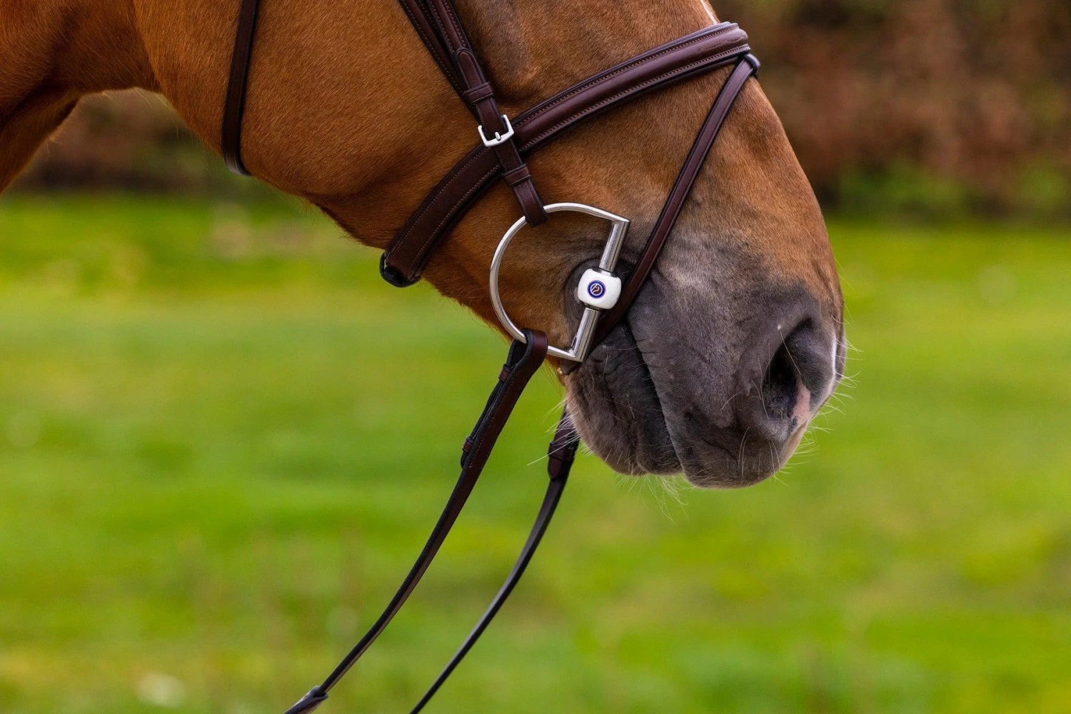 Trust Knokke Combined Noseband Bridle - Image 8