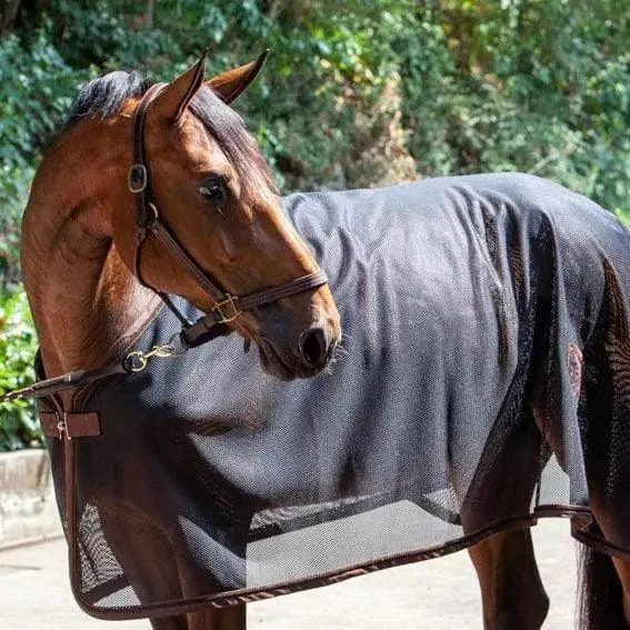 U-black Black Coffee Mesh Fly Blanket - Image 4